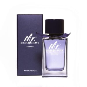 MR BURBERRY INDIGO EAU DE TOILETTE SPRAY FÜR HERREN VON BURBERRY 97 ML