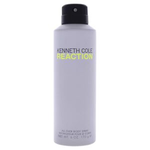 REACTION BODY SPRAY FÜR MÄNNER VON KENNETH COLE 177 ML